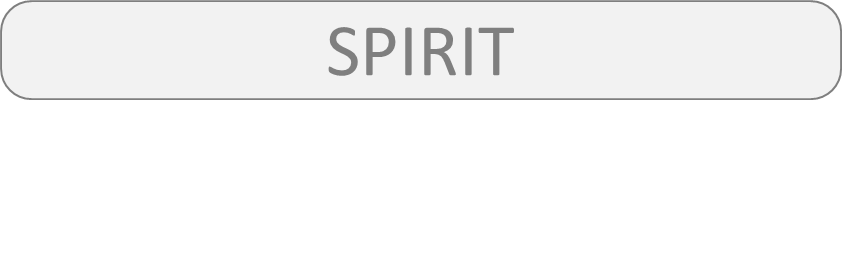 Spirit
